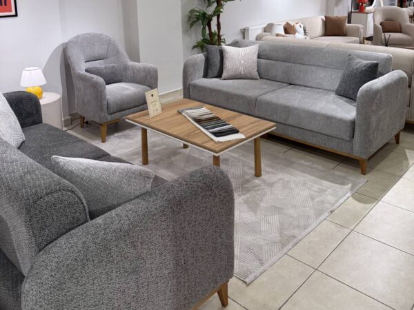 Zara koltuk takımı